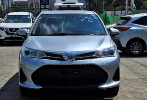 Toyota Axio 2019 Silver