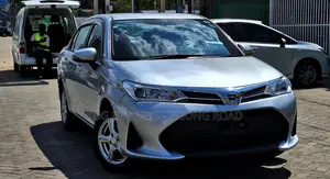 Toyota Axio 2019 Silver