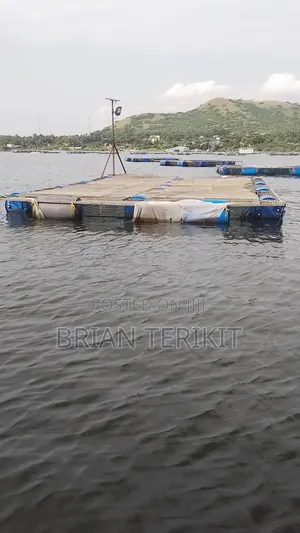 Fish Cage for Sale