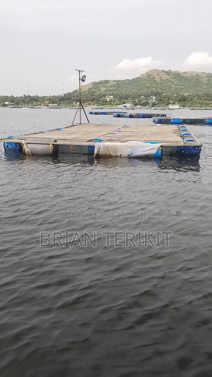 Fish Cage for Sale