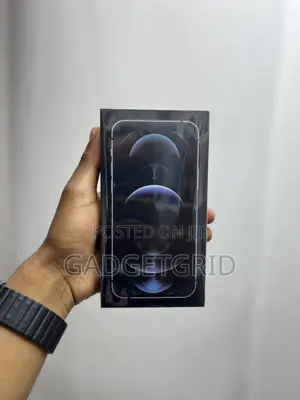 New Apple iPhone 12 Pro 256 GB Silver