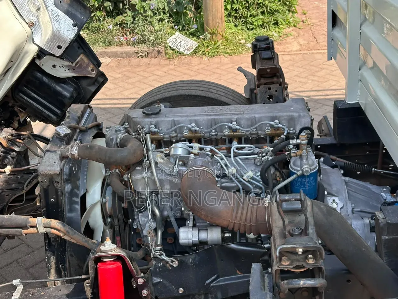 ISUZU NPR Local Assembly 2019 Model