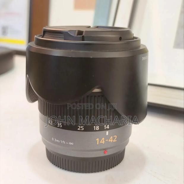 Panasonic Lumix 14-42mm Lense
