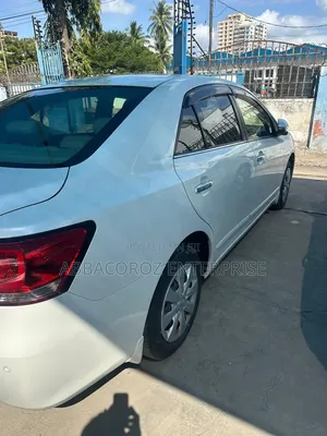 Toyota Premio 2018 White