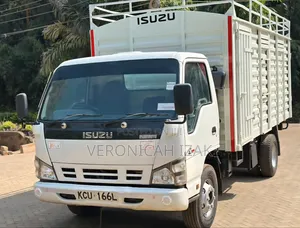Isuzu NPR Local 2019 White