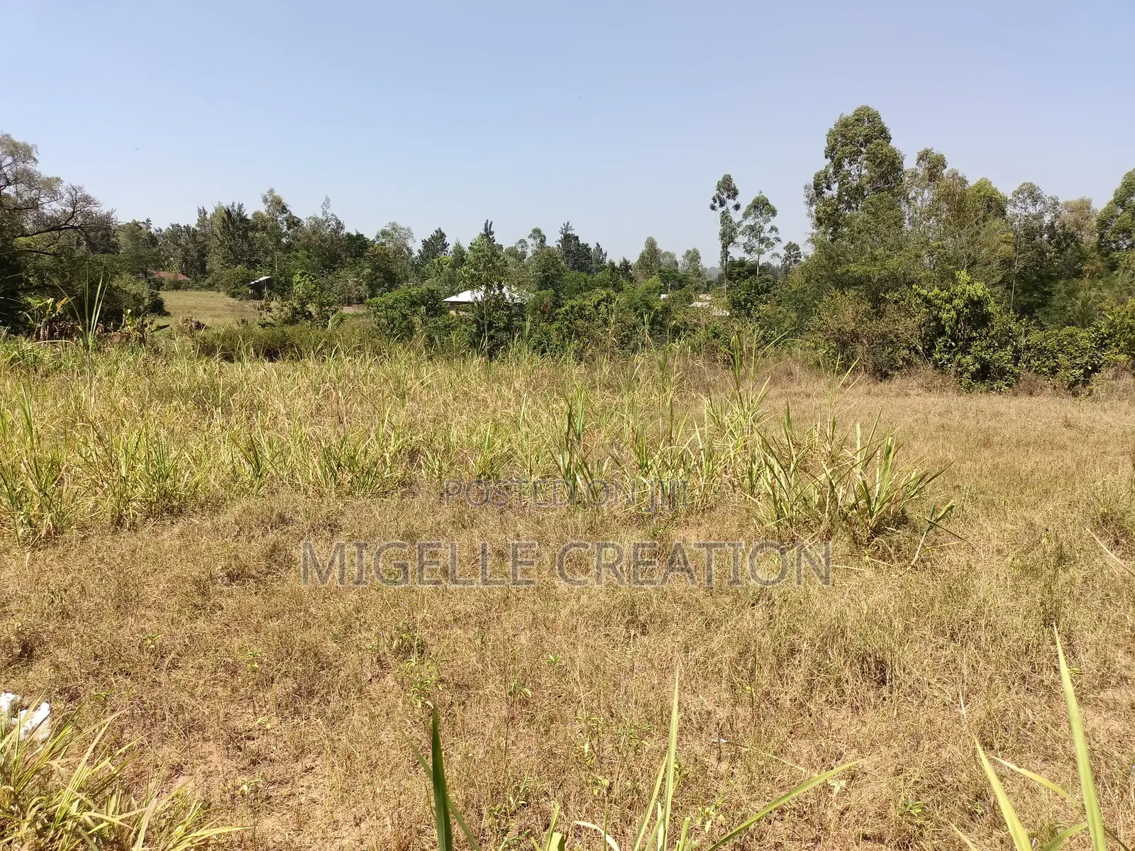 Land for Sale in Wathorego, Kisumu County