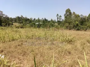 Land for Sale in Wathorego, Kisumu County