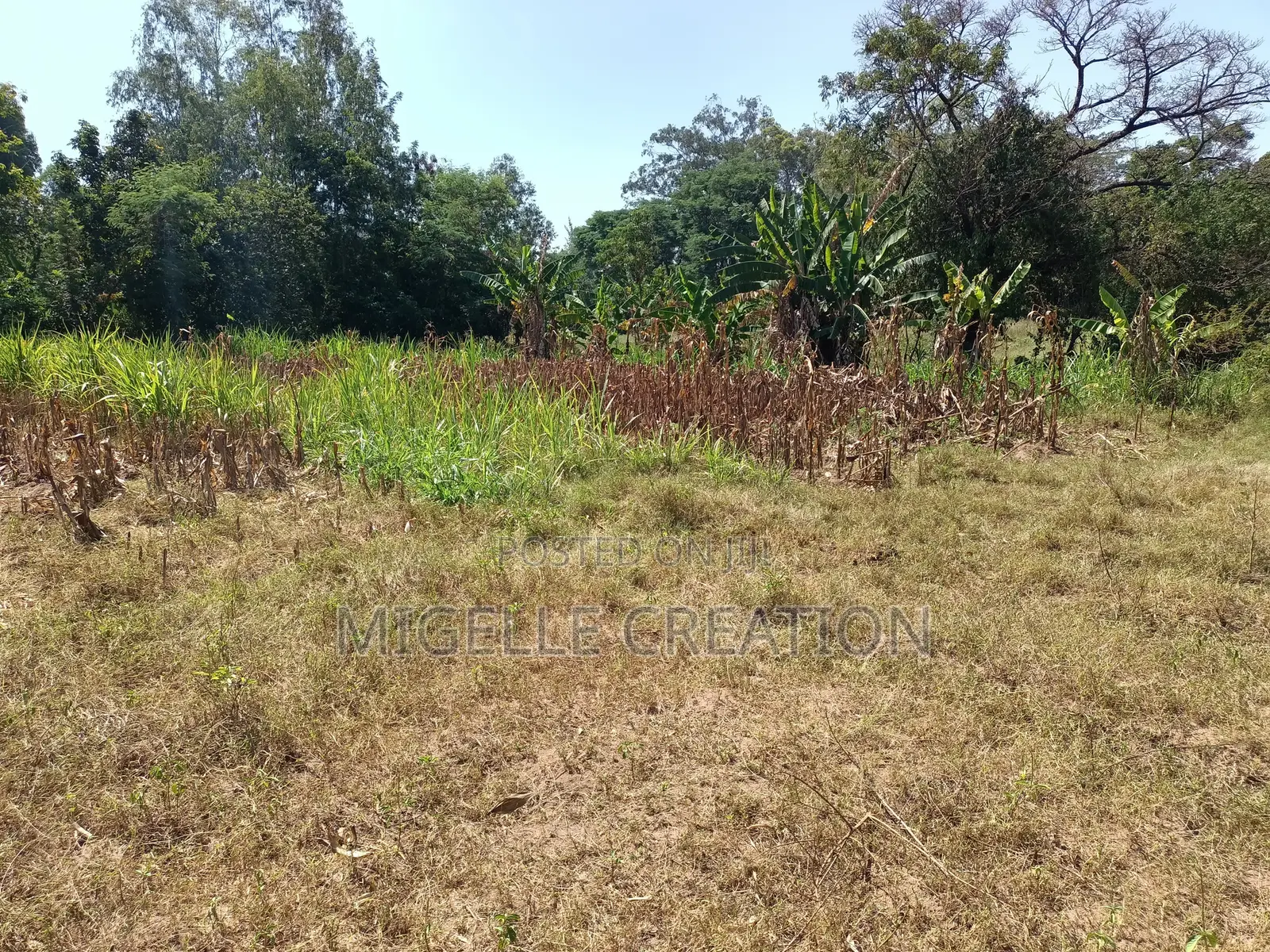 Land for Sale in Wathorego, Kisumu County