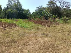 Land for Sale in Wathorego, Kisumu County