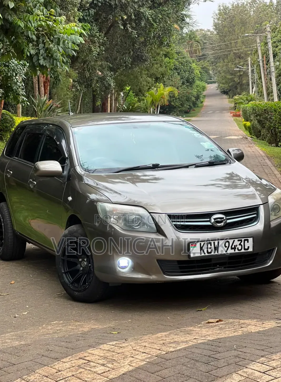 Toyota Corolla Fielder 2013 Brown