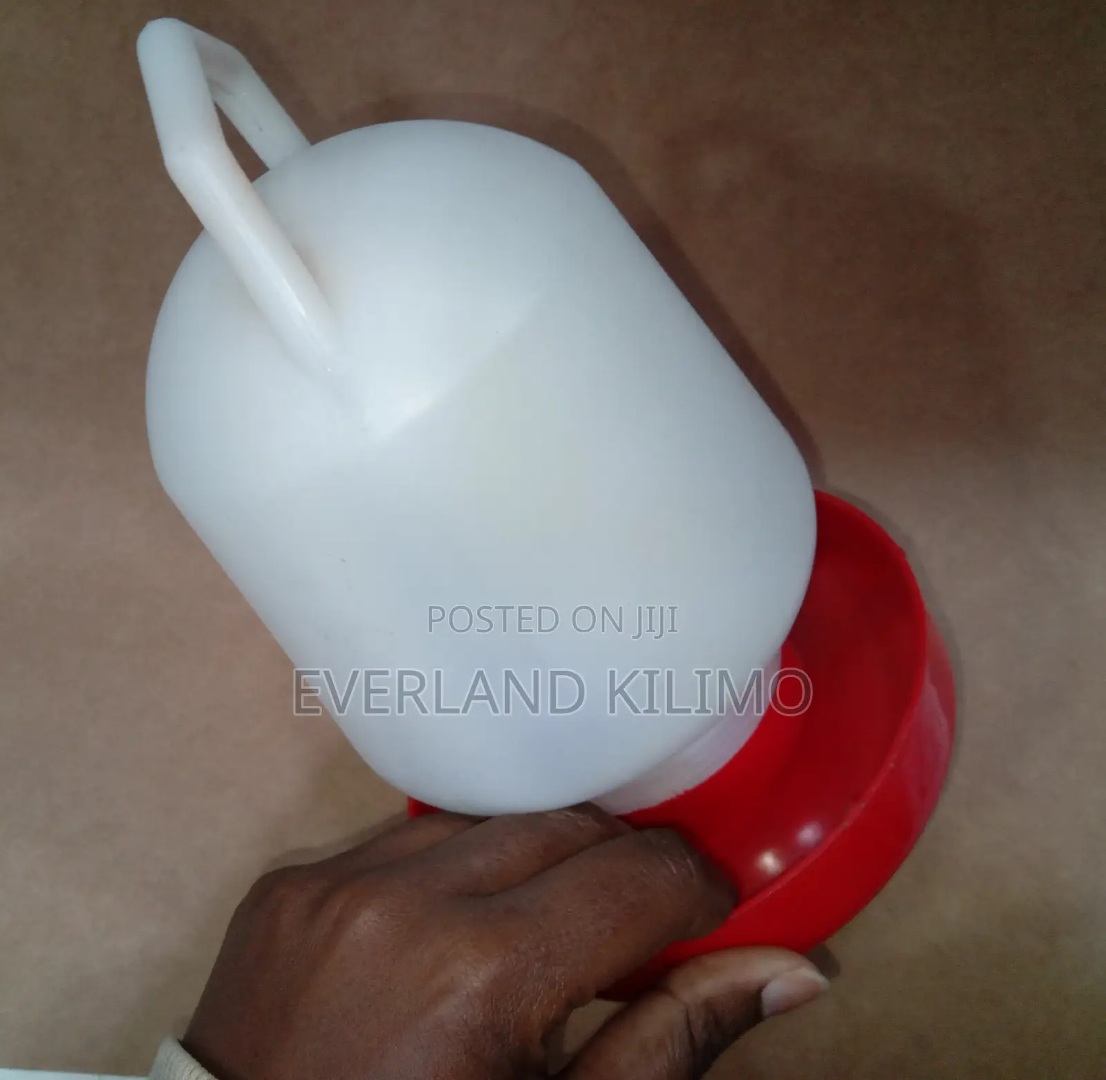 Poultry Waterer Drinker