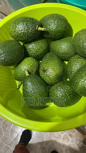 Hass Avocados