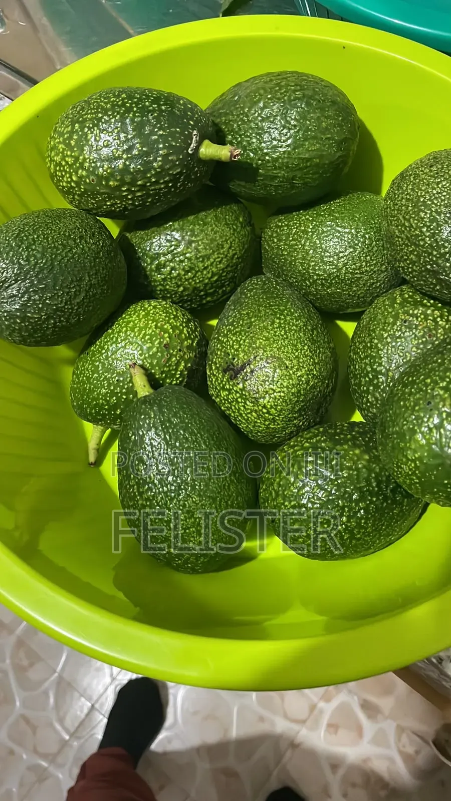 Hass Avocados