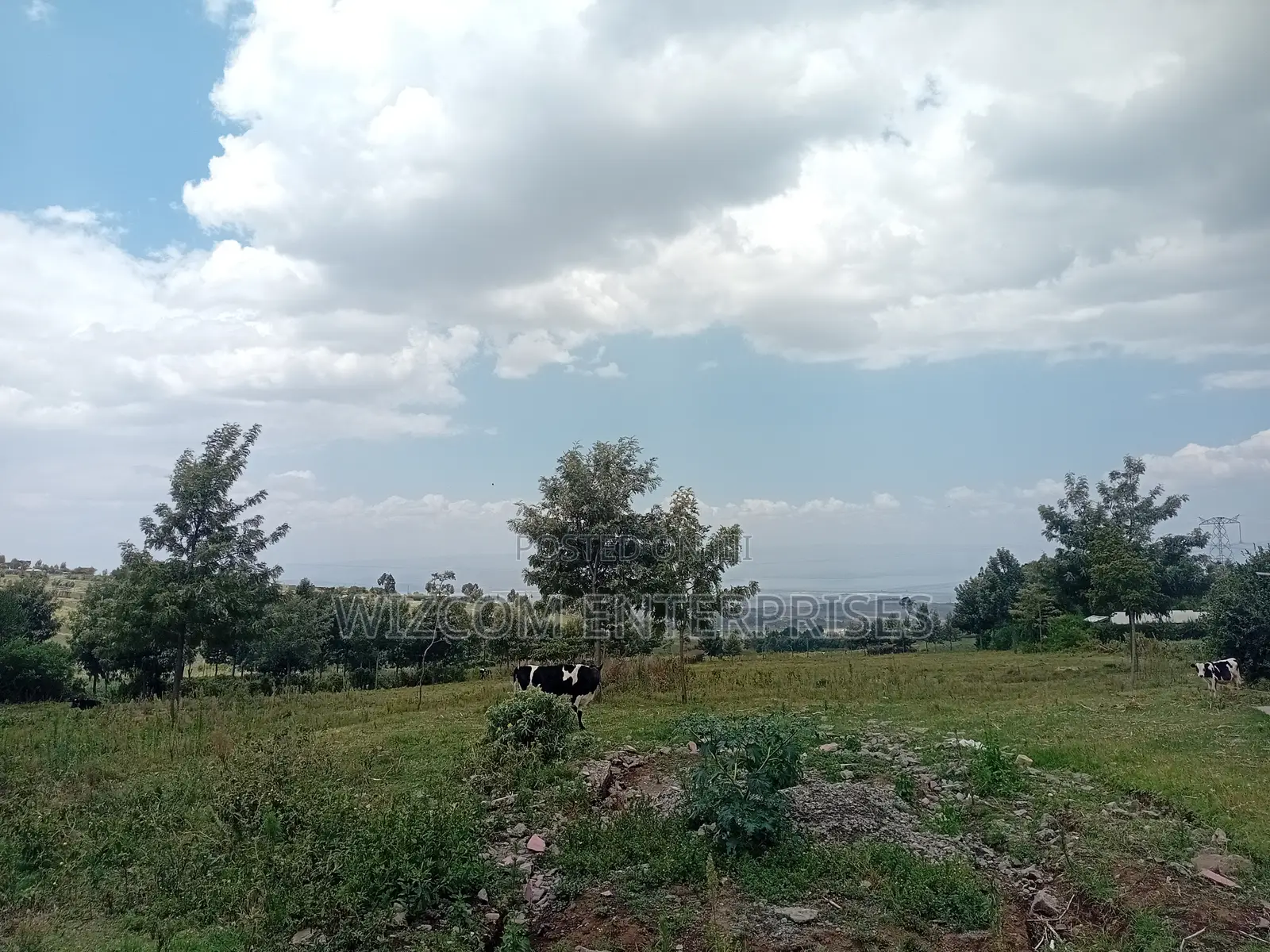 50x100 Plots for Sale. Gated Community, Ready Titles. 50% Sold.