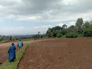50x100 Plots for Sale. Gated Community, Ready Titles. 50% Sold.