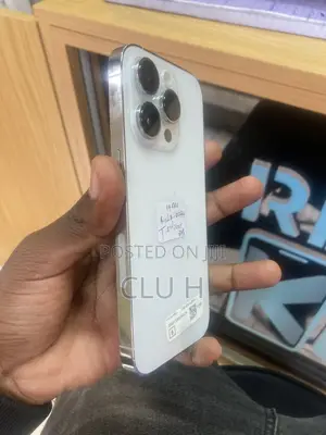Apple iPhone 14 Pro 256 GB Silver