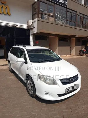 Toyota Corolla Fielder 2010 Pearl