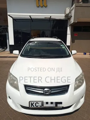 Toyota Corolla Fielder 2010 Pearl