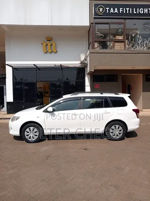 Toyota Corolla Fielder 2010 Pearl
