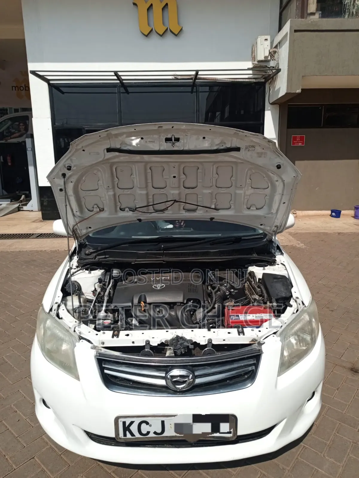 Toyota Corolla Fielder 2010 Pearl