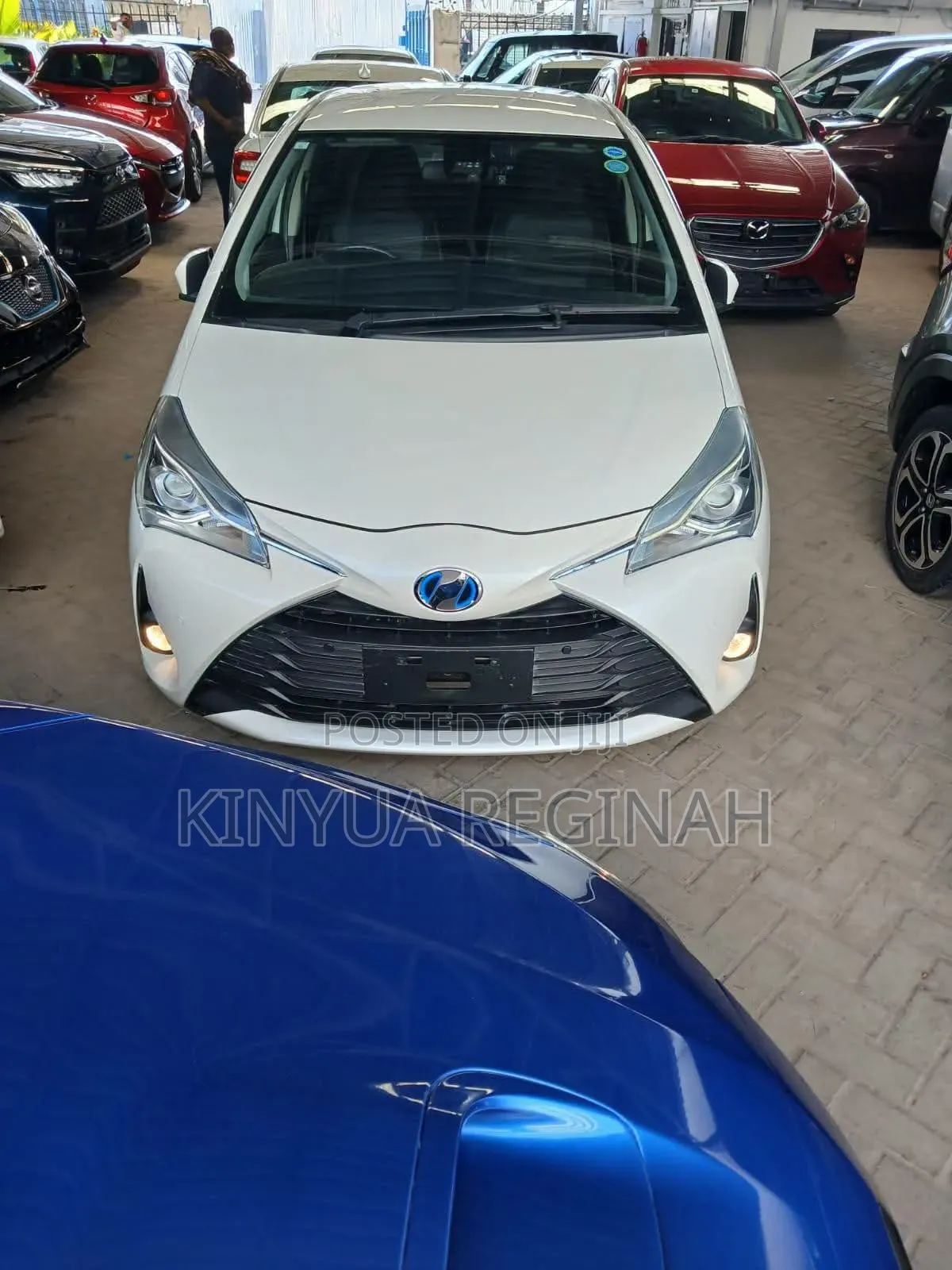 Toyota Vitz 2019 White