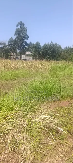 Prime Plot
