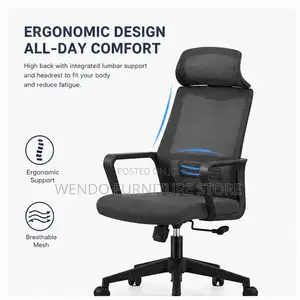 Office Chairs; Ergonomic Type High Back Office Chairs With Headrest