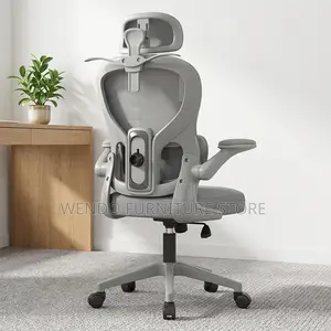 Office Chairs; High Back Orthopedic Offices Generic Chairs