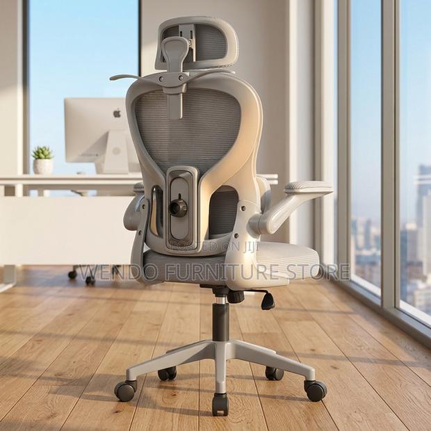 Office Chairs; High Back Orthopedic Offices Generic Chairs - thumbnail 5