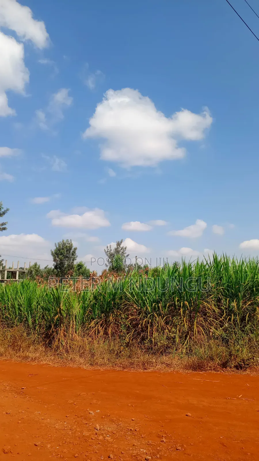 Ruiru Mugutha- Prime 1/2 Acre, Corner Plot Ideal for Home, Subdivision
