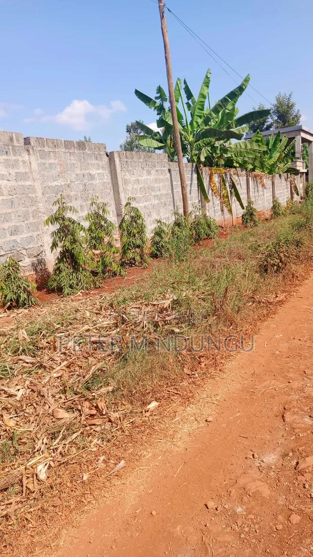 Ruiru Mugutha- Prime 1/2 Acre, Corner Plot Ideal for Home, Subdivision - thumbnail 2