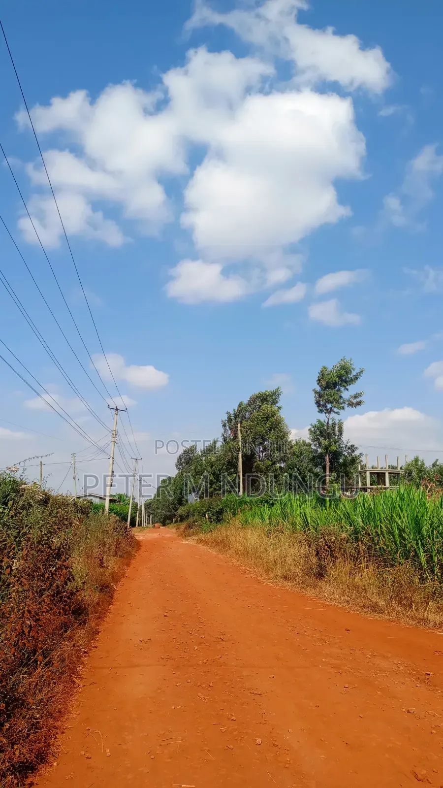 Ruiru Mugutha- Prime 1/2 Acre, Corner Plot Ideal for Home, Subdivision