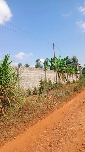 Ruiru Mugutha- Prime 1/2 Acre, Corner Plot Ideal for Home, Subdivision