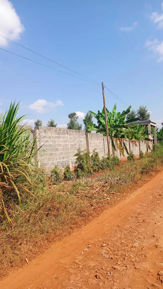 Ruiru Mugutha- Prime 1/2 Acre, Corner Plot Ideal for Home, Subdivision - thumbnail 4