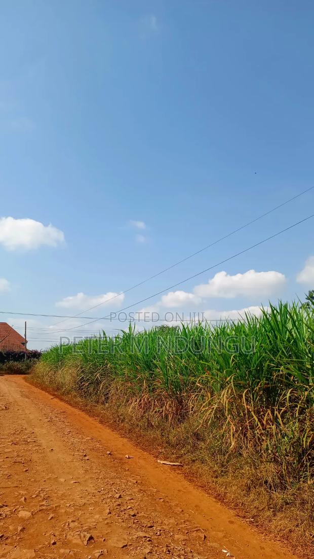 Ruiru Mugutha- Prime 1/2 Acre, Corner Plot Ideal for Home, Subdivision - thumbnail 6