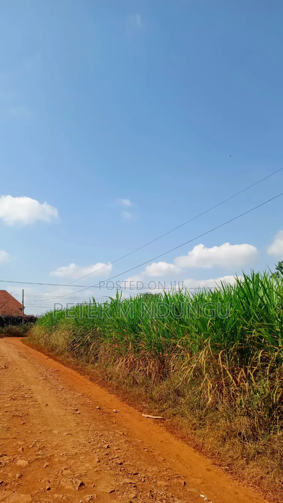 Ruiru Mugutha- Prime 1/2 Acre, Corner Plot Ideal for Home, Subdivision
