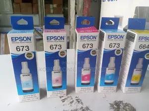 Original Epson 673 Inks (High Quality Printout)