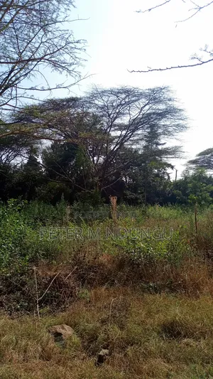 Garden Estate- 1/2 Acre Residential Plot