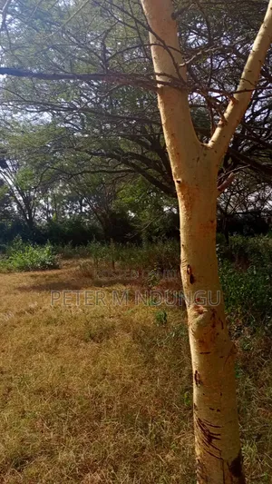 Garden Estate- 1/2 Acre Residential Plot