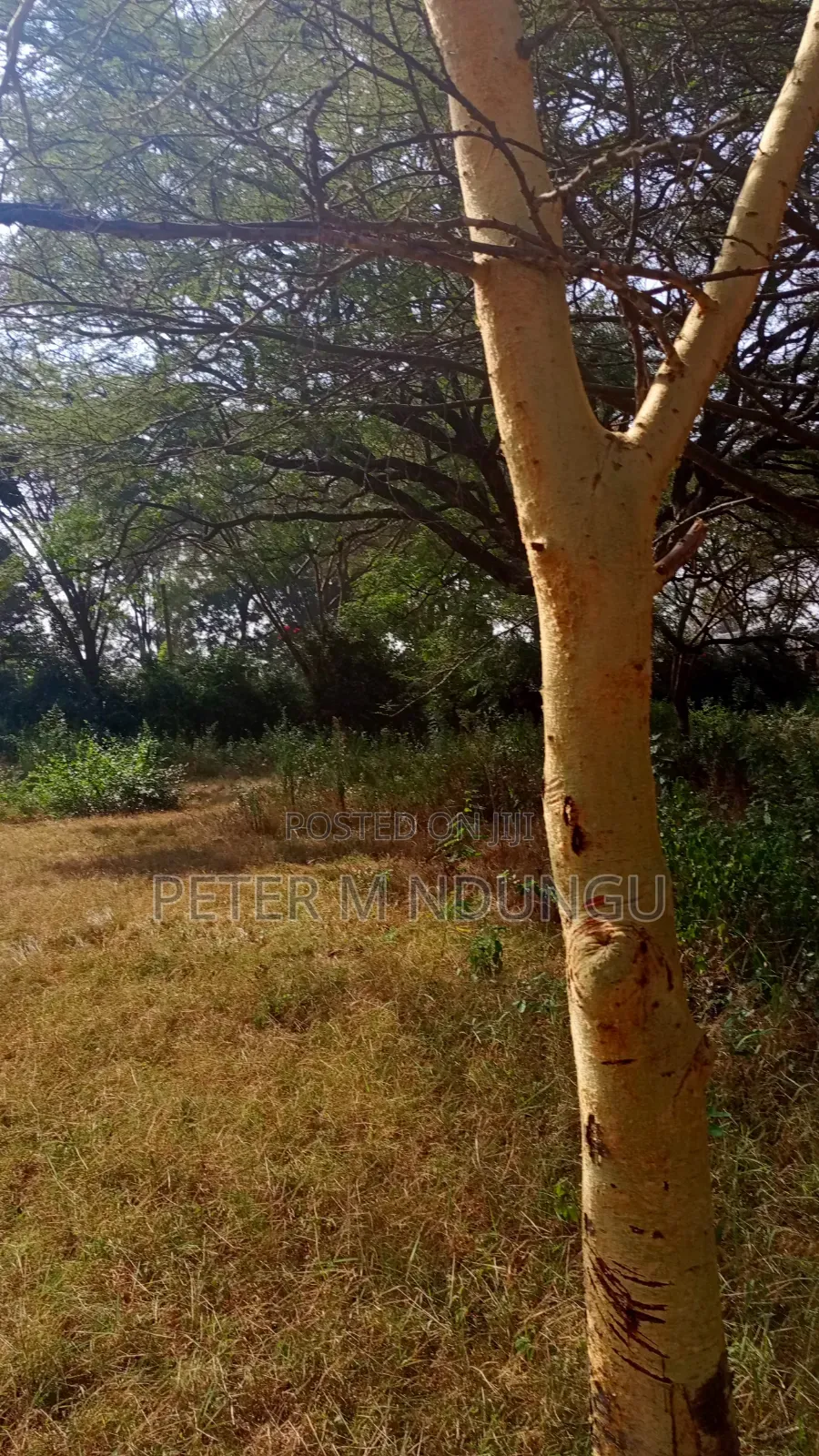 Garden Estate- 1/2 Acre Residential Plot
