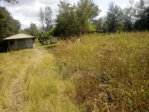 Kenol Murang'a- 1/2 Acre Prime Plots Residential/Commercial