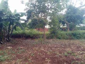 Kenol Murang'a- 1/2 Acre Prime Plots Residential/Commercial