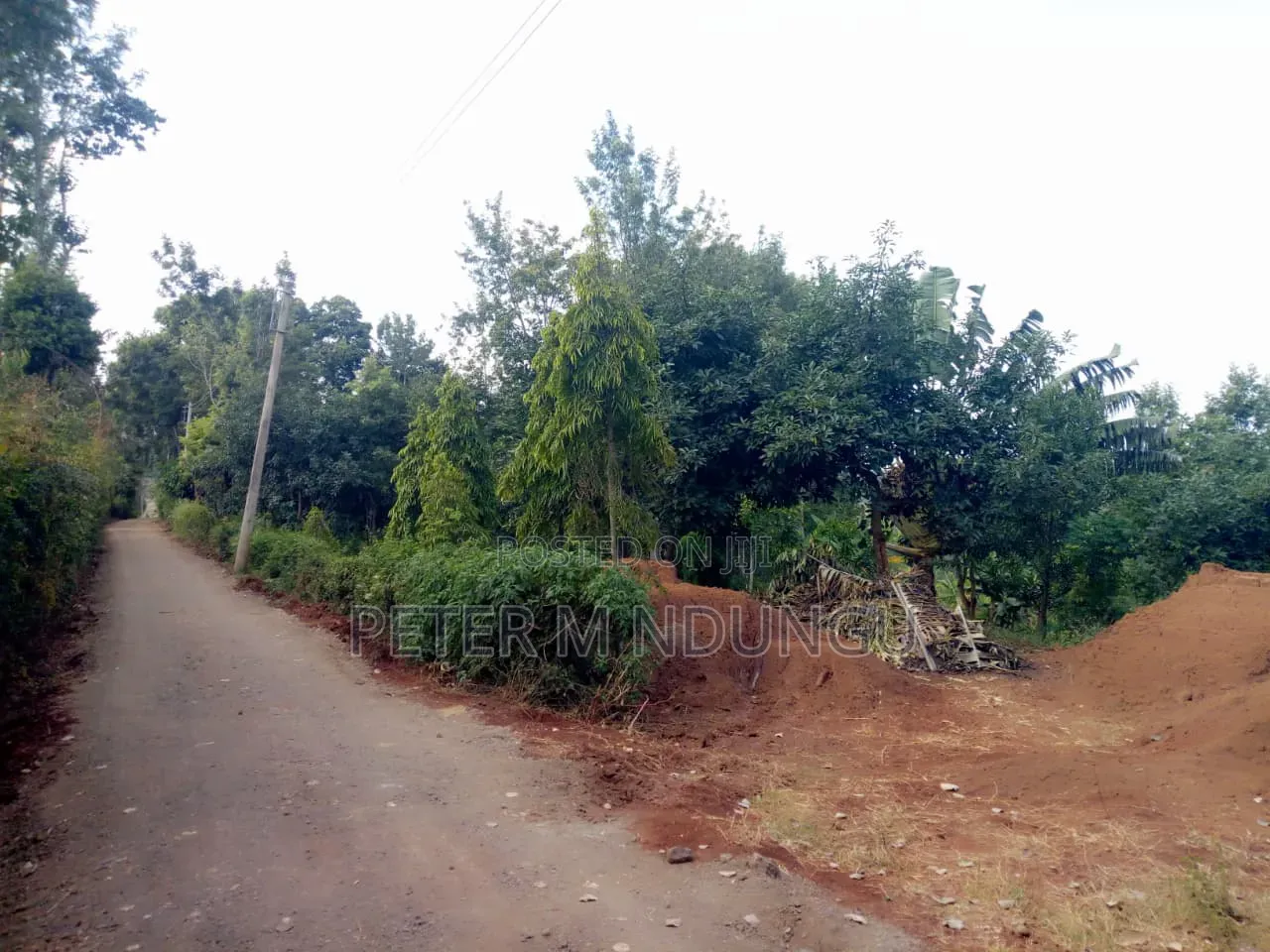 Kenol Murang'a- 1/2 Acre Prime Plots Residential/Commercial