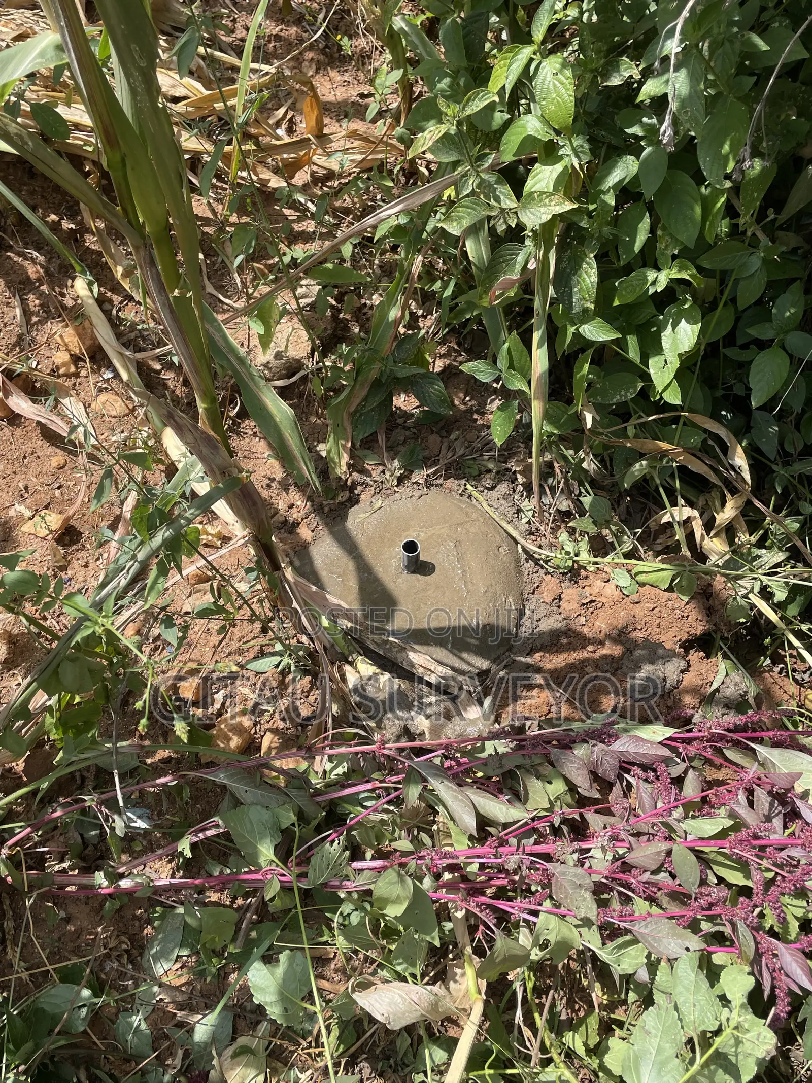 Beacon Setting and Reestablishment