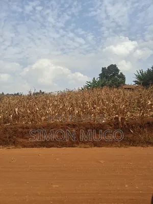 Kirigiti Ruiru Kiambu Road Prime 45 Acres