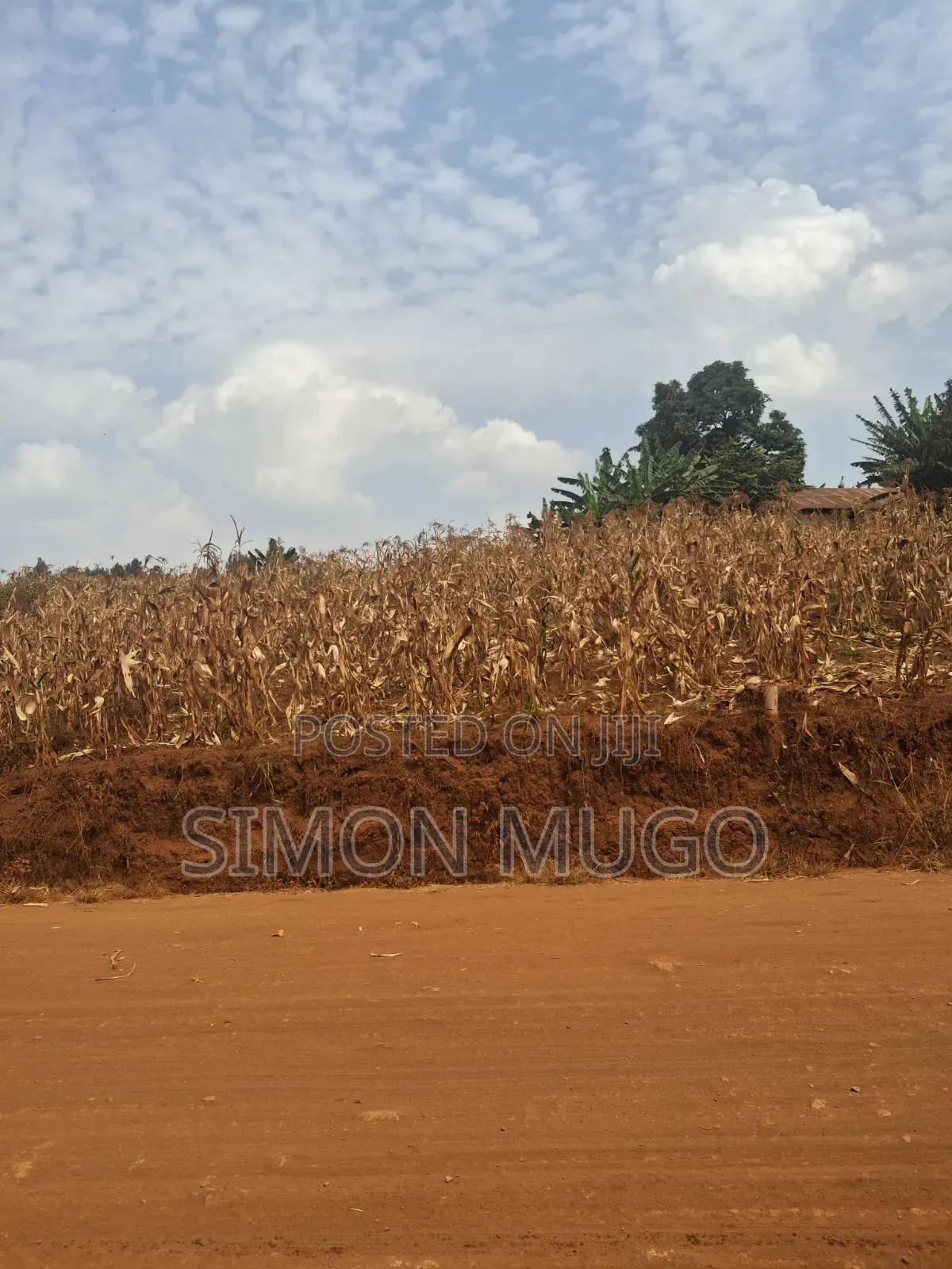 Kirigiti Ruiru Kiambu Road Prime 45 Acres
