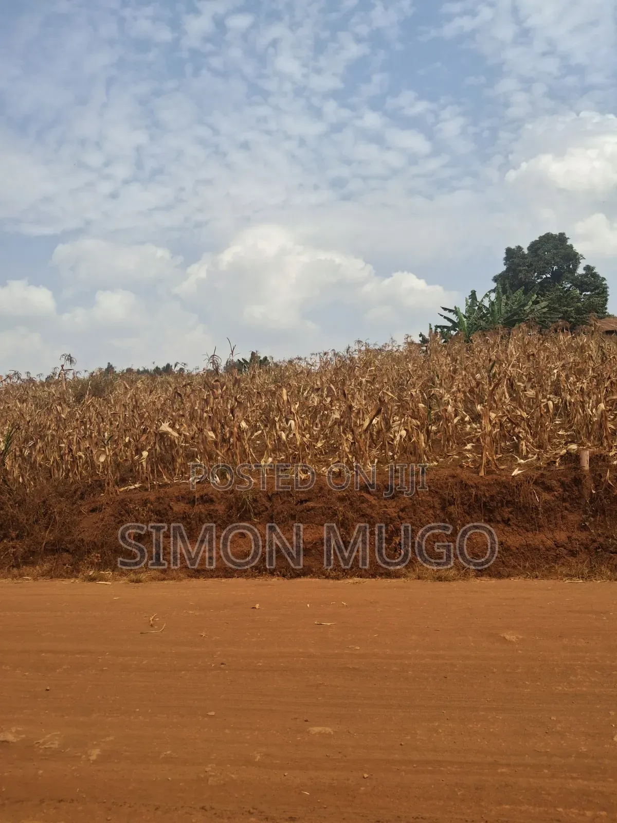 Kirigiti Ruiru Kiambu Road Prime 45 Acres