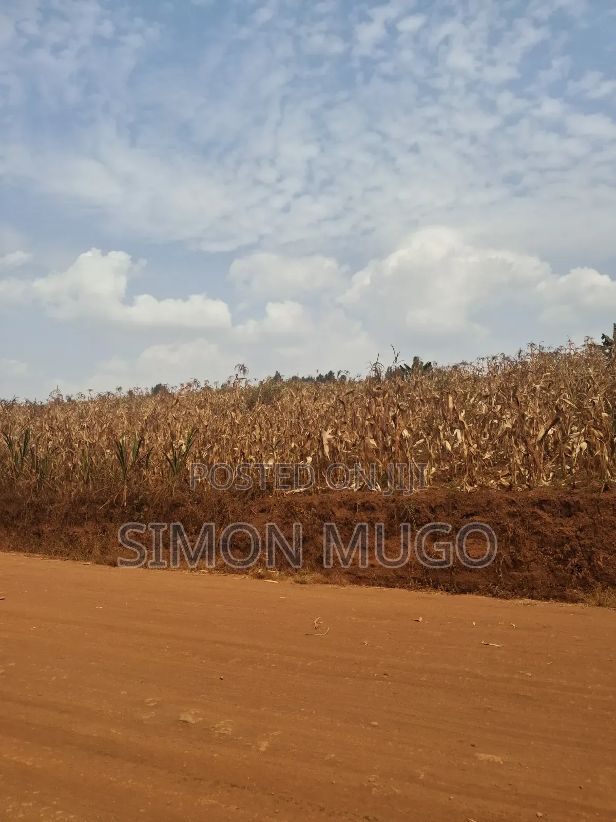 Kirigiti Ruiru Kiambu Road Prime 45 Acres