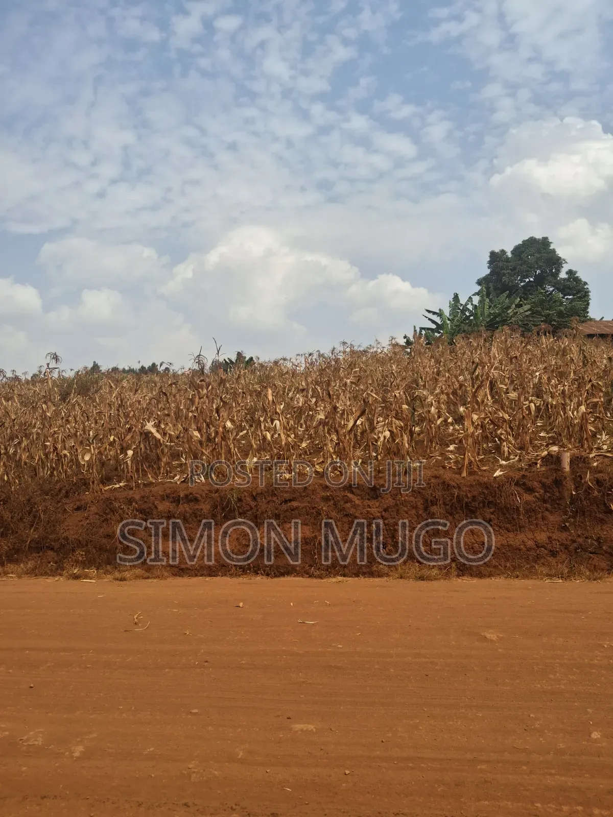 Kirigiti Ruiru Kiambu Road Prime 45 Acres