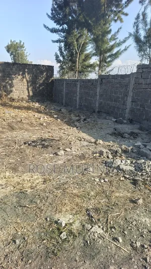 Plot for Sale at Mutalia